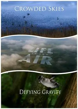 《空中生灵》：BBC自然纪录片，带你俯瞰地球，感受生命的奇妙与残酷！
