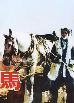 《马》：一部关于孤独、救赎与希望的文艺佳作，触动灵魂深处的思考