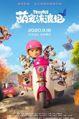 《萌宠流浪记》：一场关于爱与救赎的感人旅程，毛茸茸的伙伴们能否找到温暖的归宿？