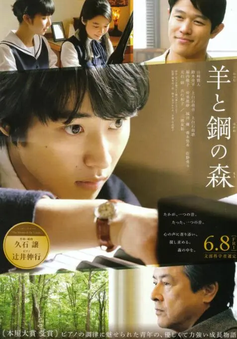 《羊与钢的森林》：钢琴世界的奇幻交响，当才华碰撞梦想，能否奏响属于自己的旋律？