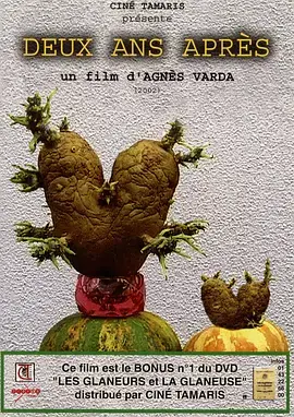 《艾格妮捡风景：两年后》：治愈心灵的旅程，生命与情感的深度重塑